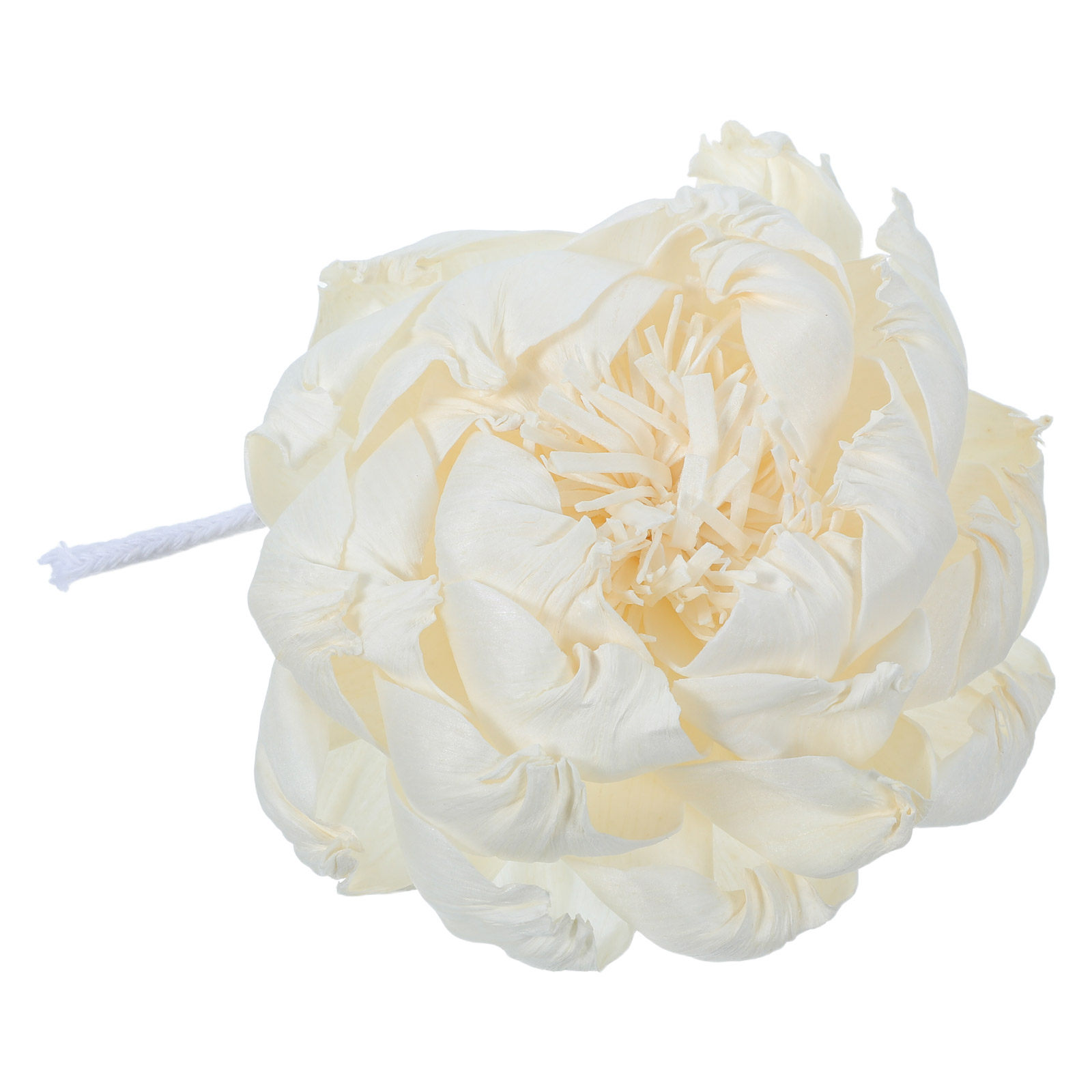 Şakayık Başlı Koku Difüzörü 12 - Home Fragrance Aroma incelemesi ve fiyatı